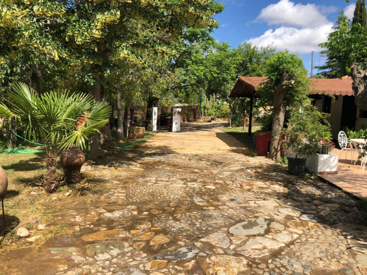 Vivienda Turistica La Huerta Villa Guadalcanal Ngoại thất bức ảnh