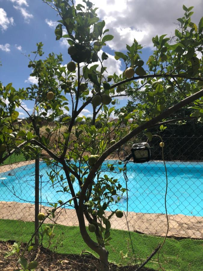 Vivienda Turistica La Huerta Villa Guadalcanal Ngoại thất bức ảnh